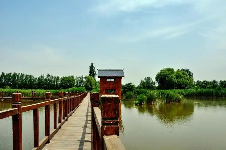 家乡美老家河南封丘陈桥湿地随拍