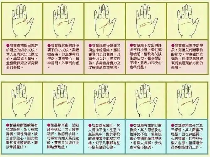 手的秘密——掌心的八卦图 - 瀛子 - 瀛の小笺