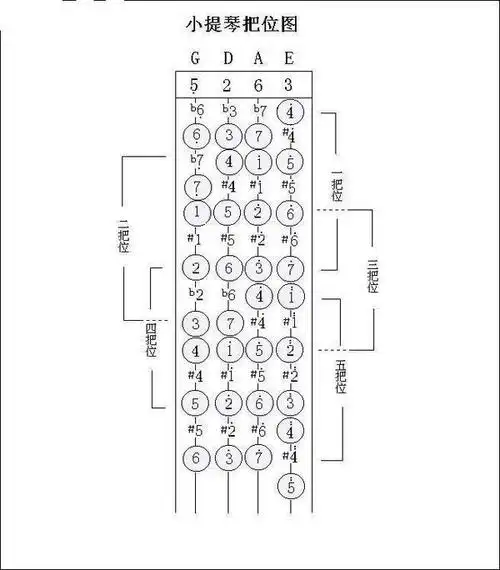 小提琴的第三把位是在小提琴的什么位置?