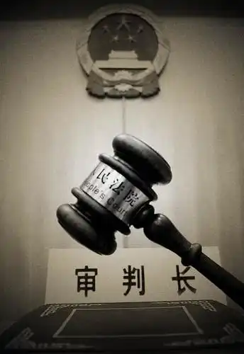 刑事案件 盗取罪_突袭网
