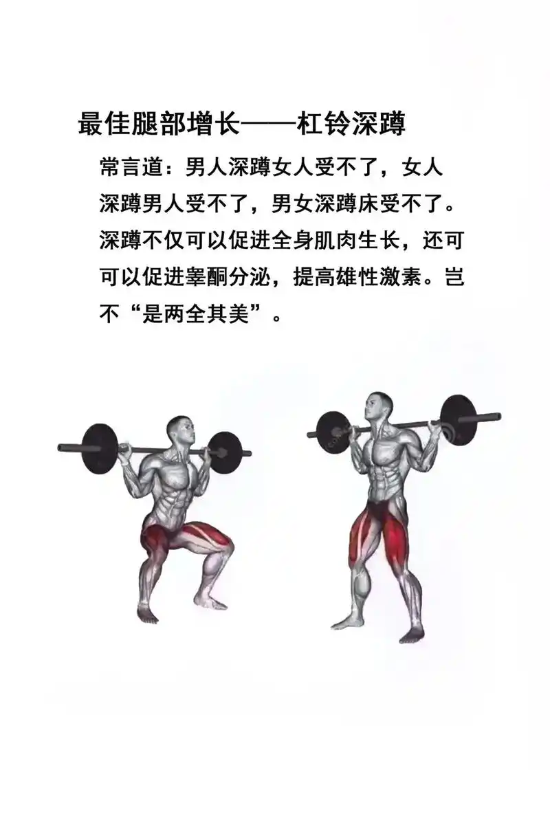 99%的人不知道的各部位健身肌肉增长动作,拿去用,又不懂的私 - 抖音