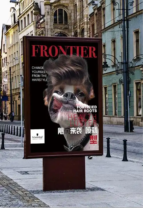 施华蔻商业海报设计