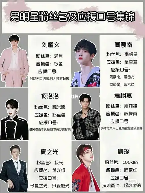 男明星粉丝名和应援口号有你家爱豆吗?_明星资讯_娱乐_明星娱乐资讯