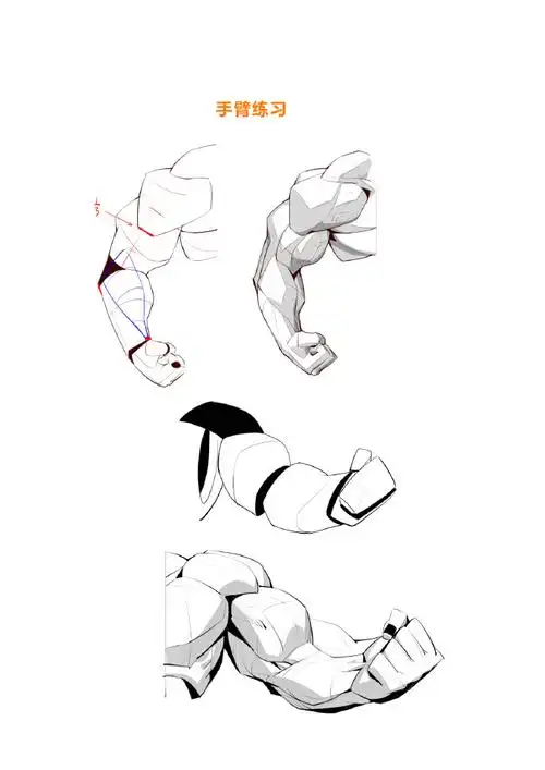手臂结构画法,手臂肌肉结构画法还是画不好的同学看过来~大木画画绘画
