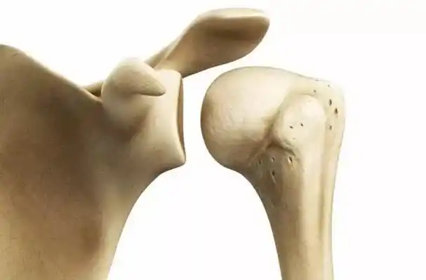 你的肩关节灵活吗?测试一下正常活动范围,看看你达标了吗?