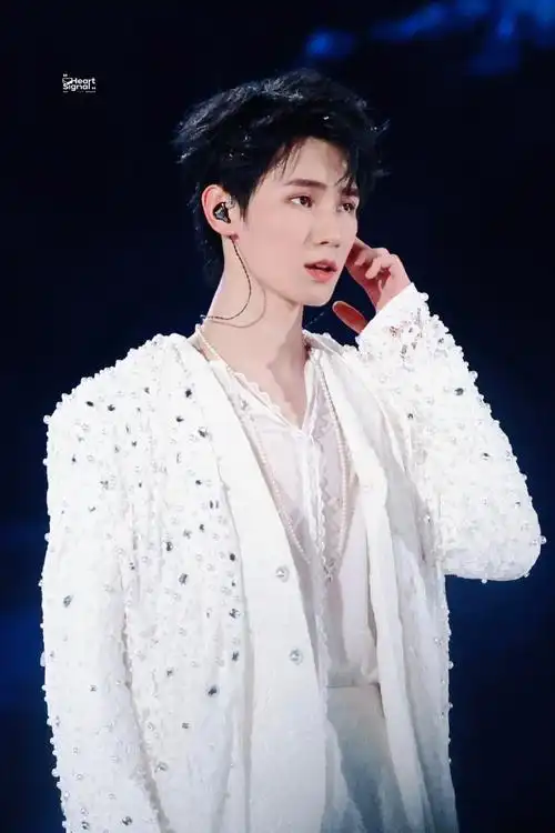 张真源理想之途演唱会