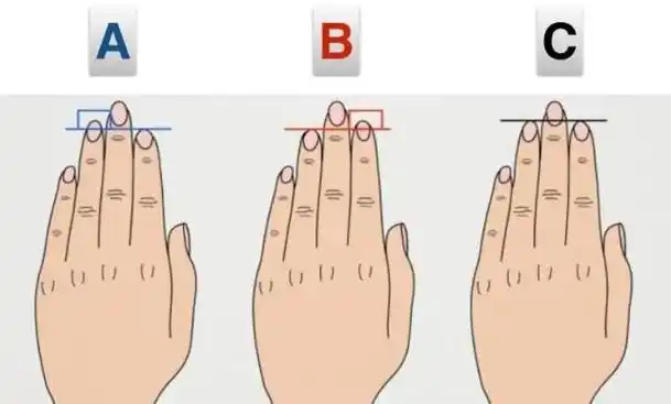 男人无名指比食指长命运如何?