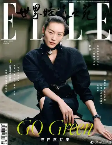 登上《elle》6月刊封面……|elle|封面|刘雯_新浪新闻
