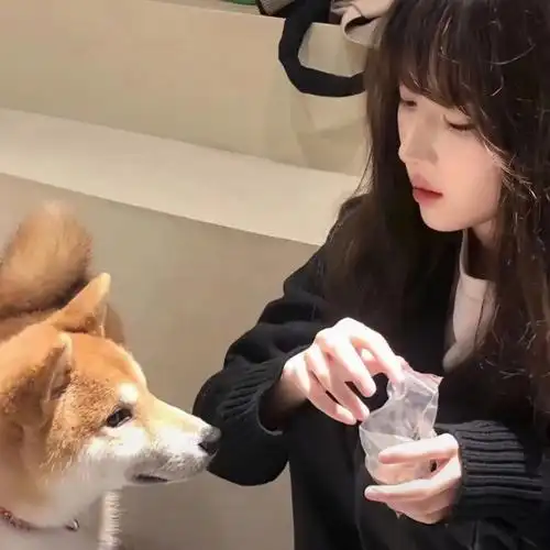 可爱情头对象不是人系列