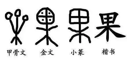 一些有趣的甲骨文文字【附甲骨文—现代汉字对照表】