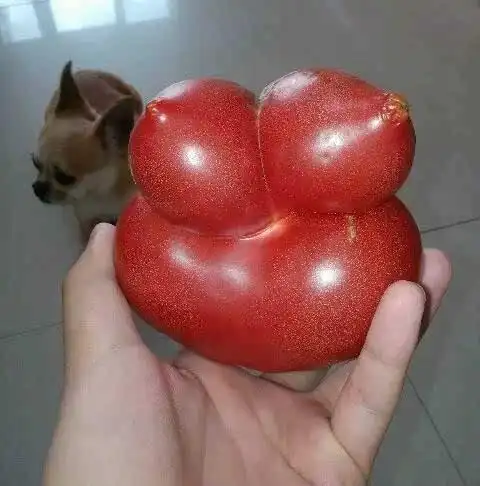 发几张不正经的照片给大家看看,笑死人不偿命!-搞笑频道-手机搜狐