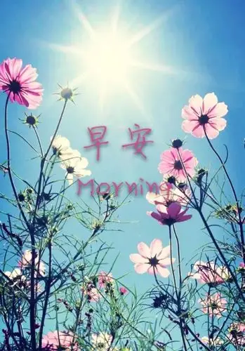 微信早安心语配图片 - 多一天爱一点的主页
