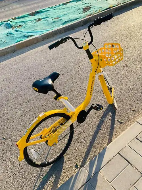 海菁 的想法: 王庆超:我认为这是诸多美团共享单车款式里最好的一款