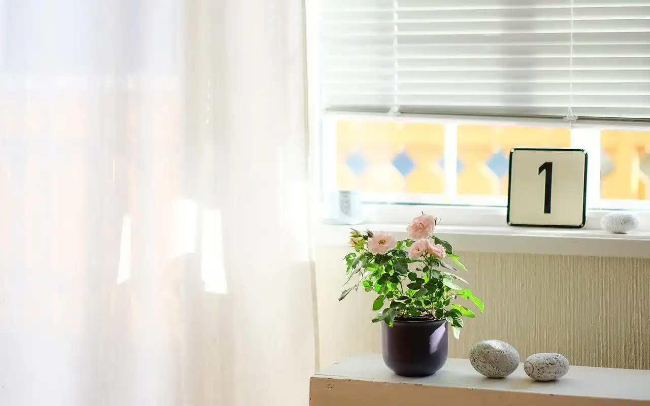 文艺插花图片高清电脑桌面壁纸