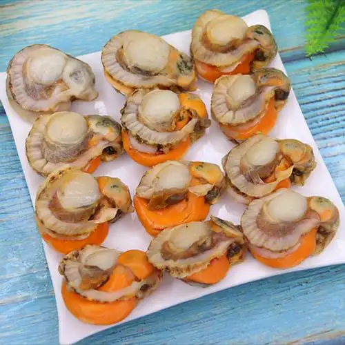 扇贝冷冻新鲜熟食开袋即食贝壳海鲜水产烧烤扇贝