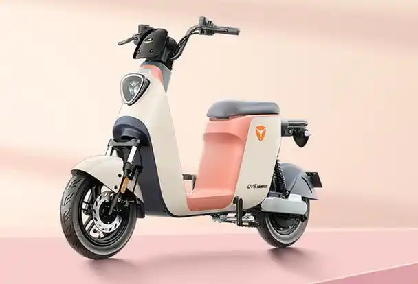 电动车那个牌子好 2021年电动车十大品牌排行榜-b2少儿学习网