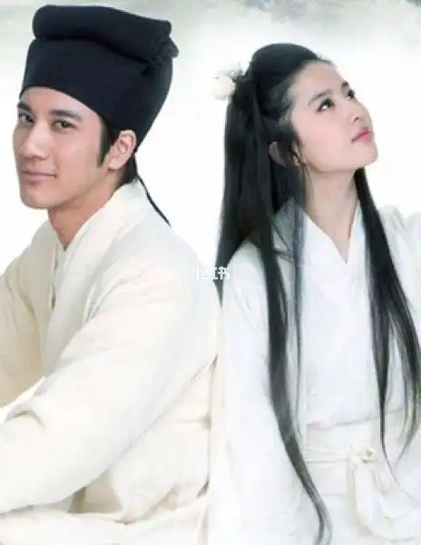 刘亦菲与王力宏唯美婚纱写真