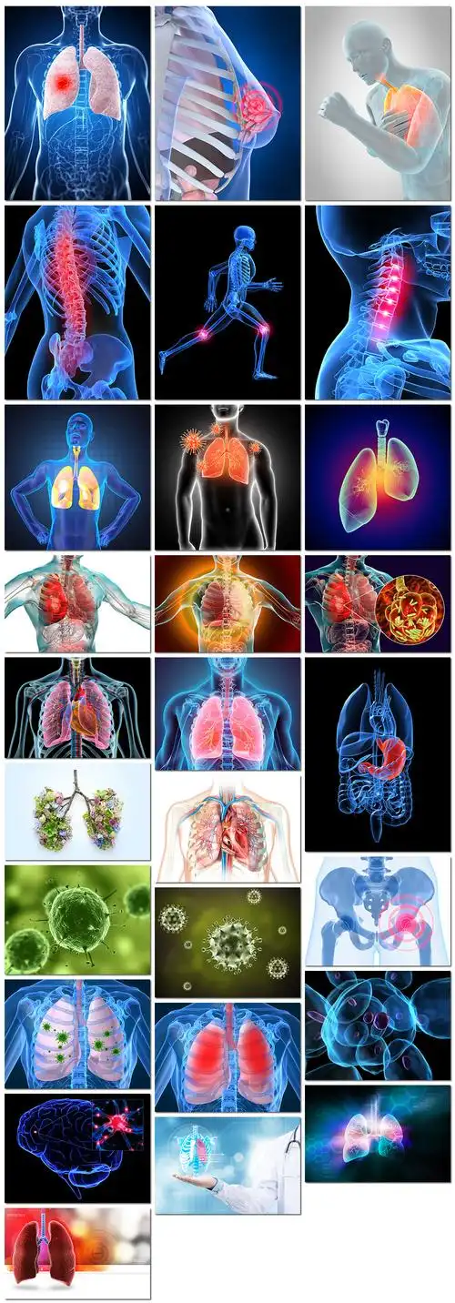 医学人体解刨透视构造图科技肺部脊椎细胞细… - 堆糖,美图壁纸兴趣社