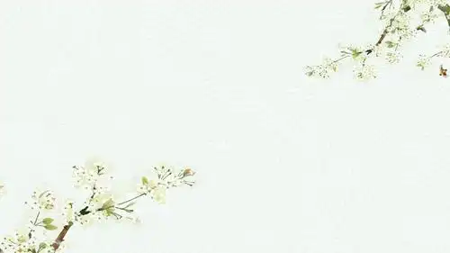 韩范淡雅小清新ppt模板