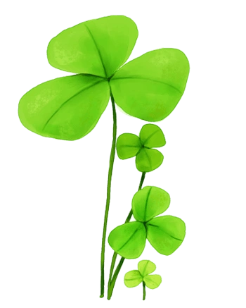 矢量绿色幸运三叶草