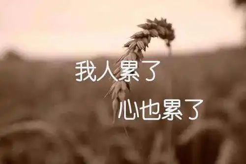 人累了和心累了的图片我以为捂着心脏它就不会疼