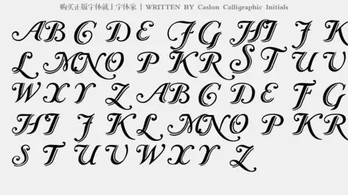 caslon calligraphic initials免费字体下载 - 英文字体免费下载尽在