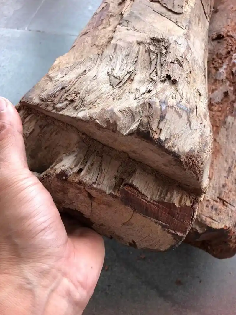 正宗海南黄花梨老料