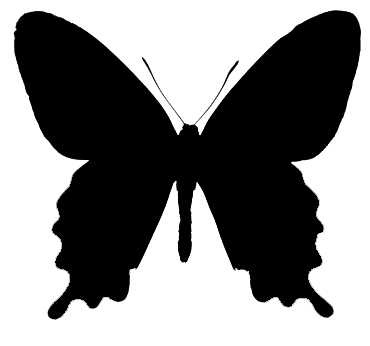 资源共享 软件共享我想要一张纯黑色凤尾蝶的图片,找了好久找不到,请