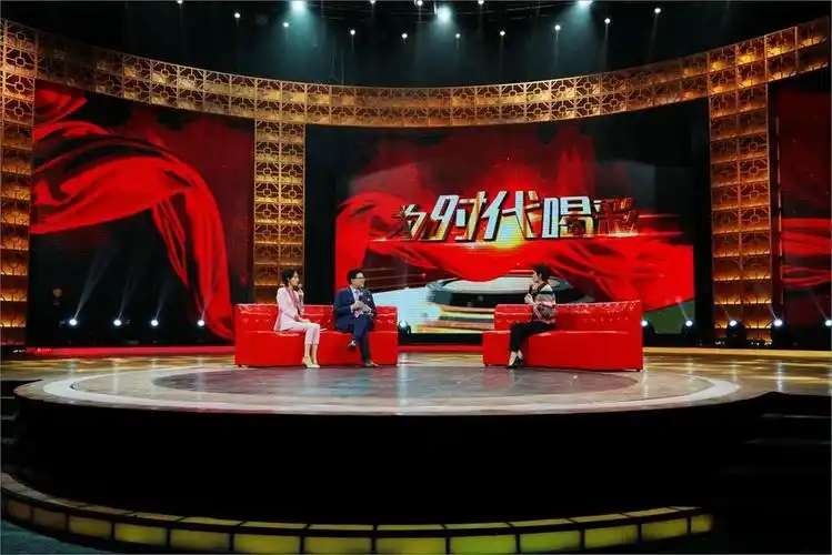 电视台访谈节目现场记录