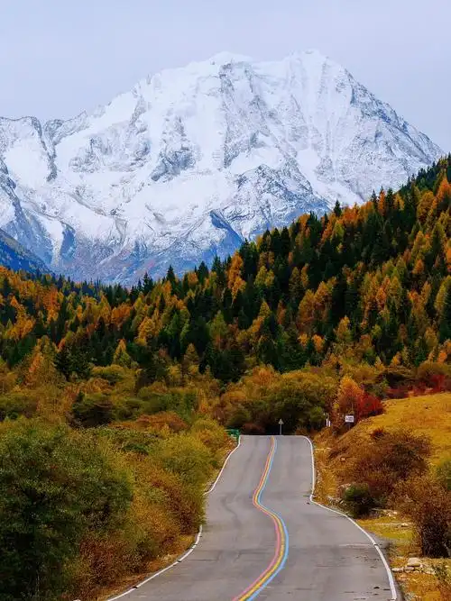 秋天的党岭随手一拍都是赞爆朋友圈的程度