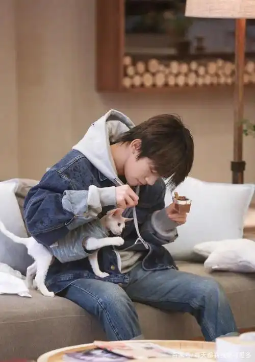 易烊千玺抱猫超温柔,网友:想做他怀里的那只猫!