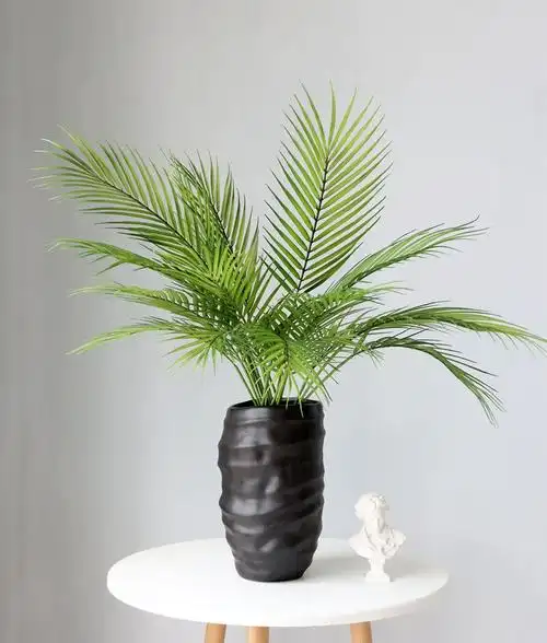 北欧假花仿真植物散尾叶 凤尾竹家居婚庆摄影装饰绿植散尾葵 单支大蕨