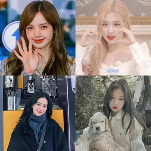 blackpink滴神仙头像