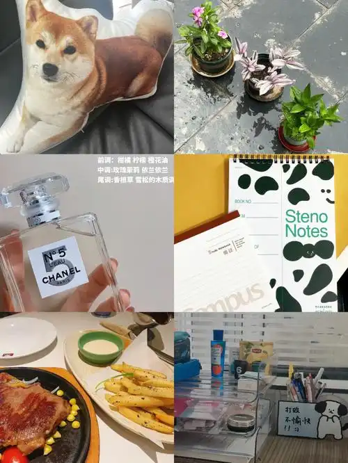 最近在看《长腿叔叔》人物刻画的非常鲜明虽然茱蒂在孤儿院长大到这并