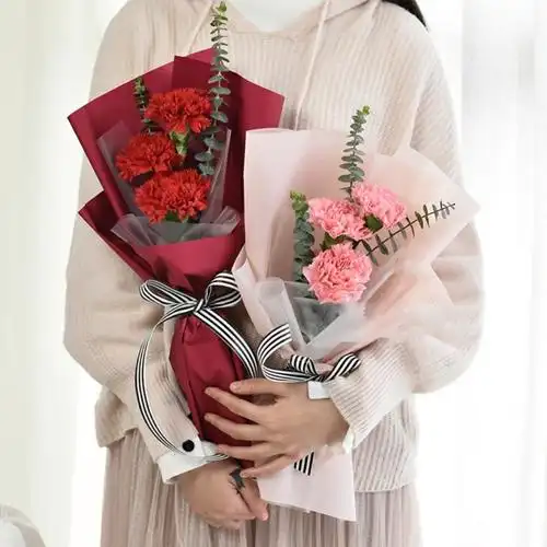 3朵粉色康乃馨精美花束包装