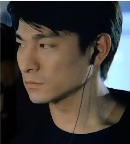 刘德华年轻时候这么帅的吗