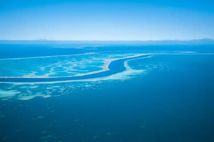 世界上最大的十大海