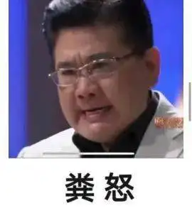 火爆全网|九转大肠之曹可凡表情包gif_公众_包包_微信