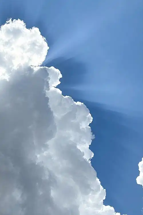 深圳image | 在深圳做云朵收藏家