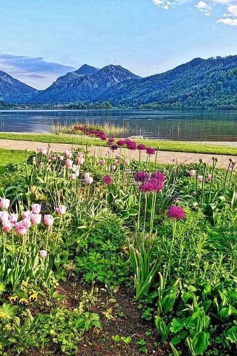 当前位置: 首页 > 高清图库 > 商用摄影图 > 自然/风景 > 当前作品