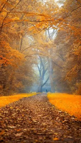 六图网提供精美好看的背景 素材模板下载,本次背景 作品主题是 唯