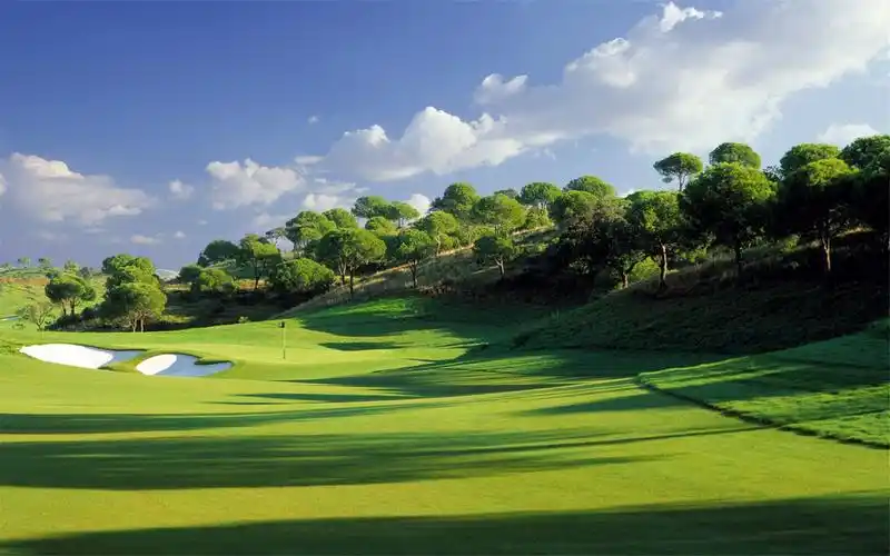 精选美丽草原风景绿色护眼图片高清壁纸宽屏下载1