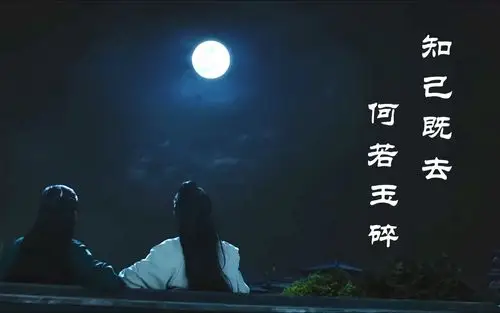 山河令原名天涯客天下无双纯剪辑欣赏