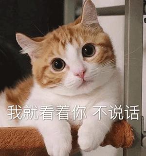 我看着不说话动态图_你继续我看着不说话表情包gif动图下载_soogif