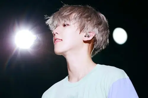exo 边伯贤 baekhyun; - 堆糖,美图壁纸兴趣社区