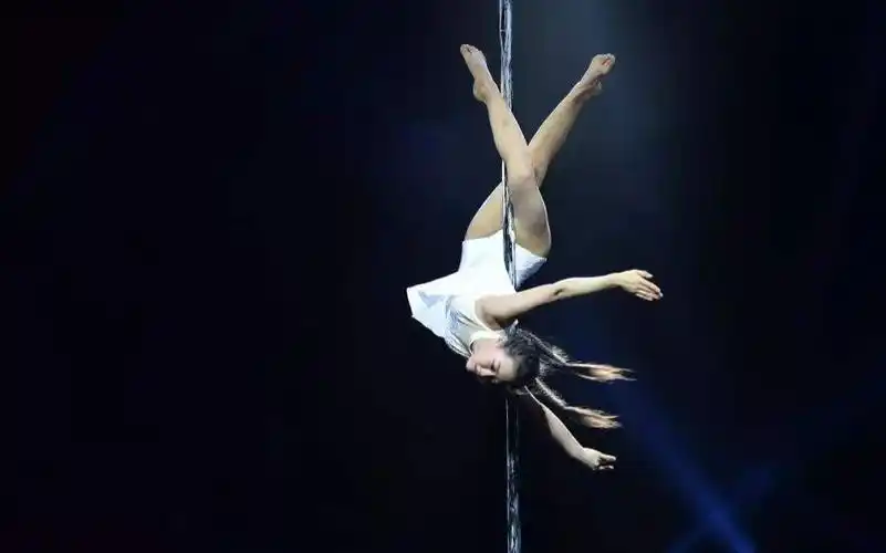 世界顶级钢管舞表演