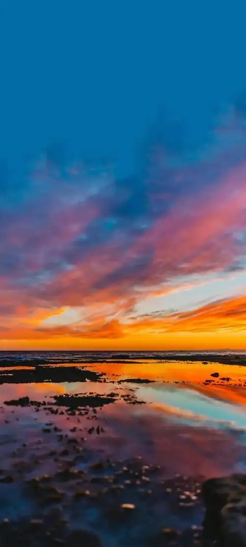 1080_2400竖版 竖屏