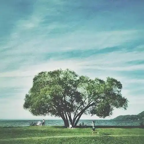 看淡生活图片_看淡图片人生_看淡的图片和文字