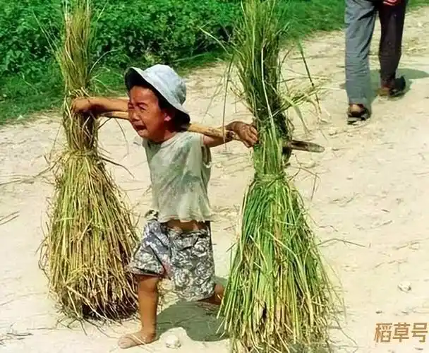 80后的老照片儿时的回忆八十年代出生的我童年的记忆