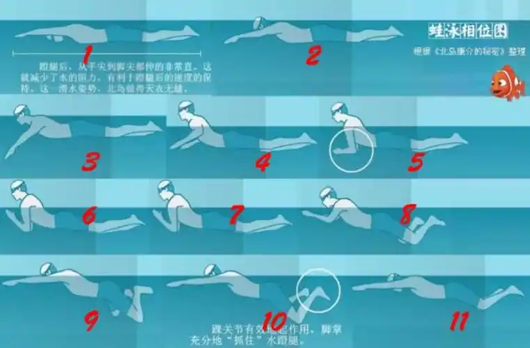 你想成为游泳高手吗?快来磐安泳协培训吧!